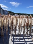 선일수산