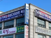 정함체육관