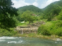 독채형 브레인펜션