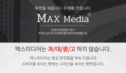 맥스미디어