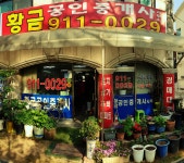 황금 공인중개사사무소