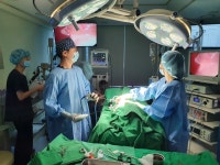 24시잠실베스트동물메디컬센터