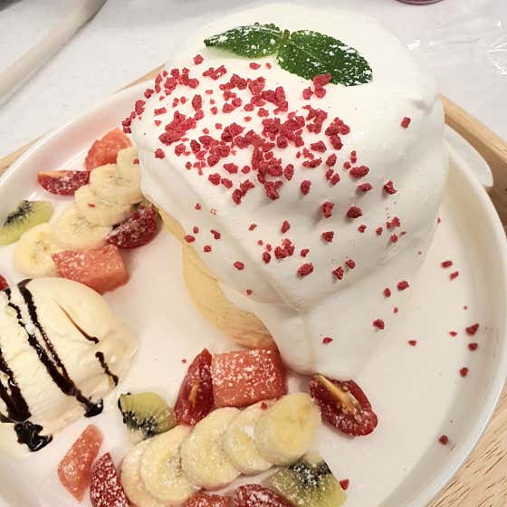 퐁당파인 사진