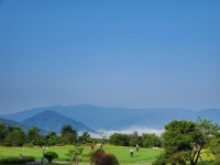 신농산삼약초농원