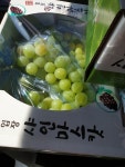 구슬포도농원