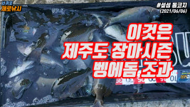 서귀포제로낚시