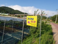 과수원길 포도원