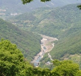 신농산삼약초농원