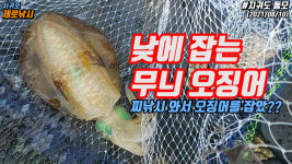 서귀포제로낚시