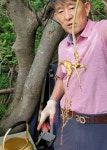 약손산삼농원 | 신농산삼약초농원