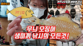 서귀포제로낚시