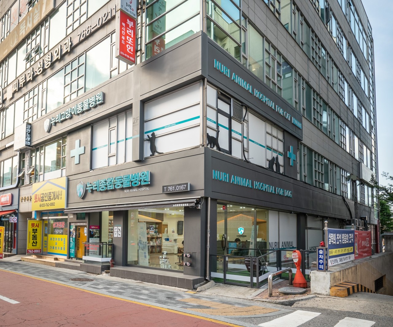 누리종합동물병원