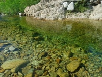 오색산새소리캠핑장