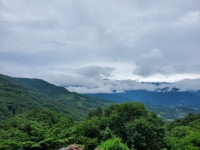 신농산삼약초농원