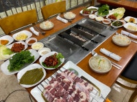 오리사냥