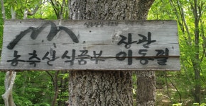 신농산삼약초농원