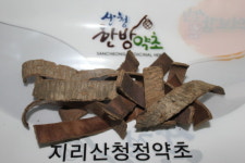 동심약초