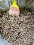 고냉고떡 중화점