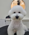 아뜰리에 몽