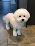 햇살동물병원