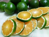 꽃담