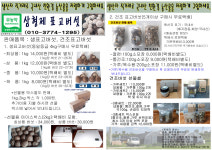 삼형제 표고버섯