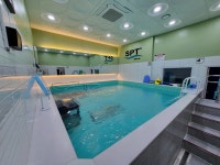 에스피티 엔드리스풀