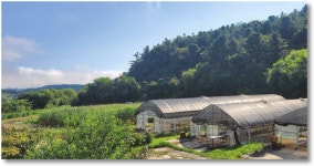 유명산한들농원