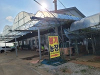 봉기농장직판장