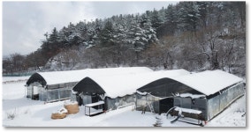 유명산한들농원
