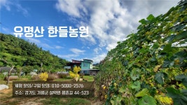 유명산한들농원