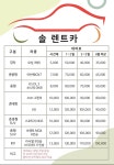 솔렌트카 평택영업소