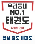 용인대정도태권도