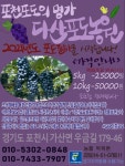 다산포도농원