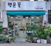 행운꽃