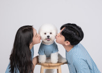 사파리사진관 청주점