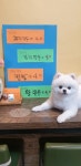 오대만두