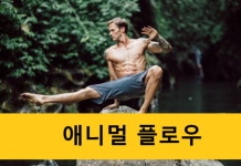 백석PT 알파퍼스널트레이닝