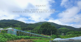 샤인브리즈