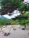 오색산새소리캠핑장