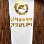 강서송도병원