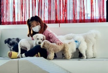 리츠펫 기승전견