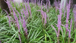 성주부동산공인중개사사무소