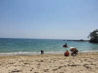 하정스테이독채펜션민박