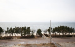 대천323콘도