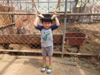 늘푸른체험농원