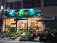 거진 영플라워