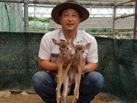 늘푸른체험농원