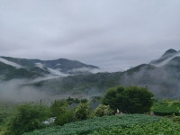 선옥이네  농장