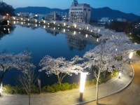 연향